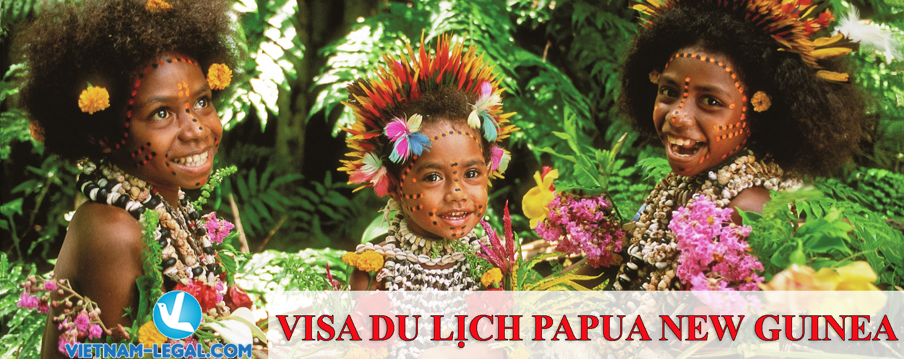 Visa To Papua New Guinea Vietnam Legal Advisor